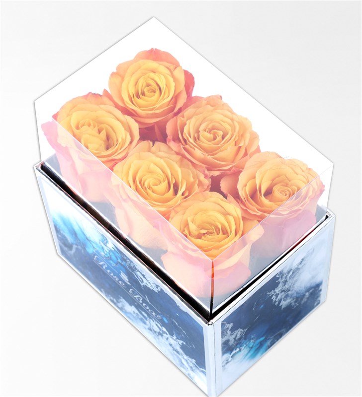 Aquamarine Midi Box with 6 Orange Roses