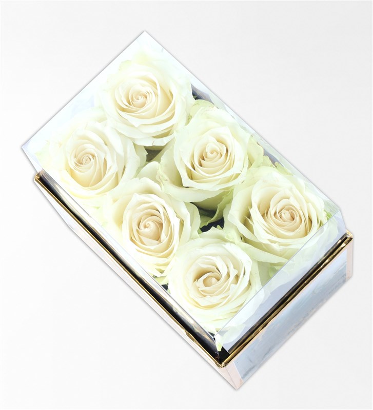 Emerald Midi Box with 6 White Roses