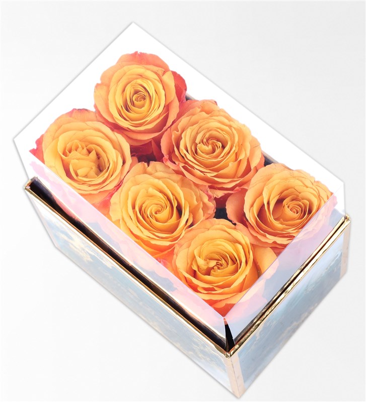 Emerald Midi Box with 6 Orange Roses