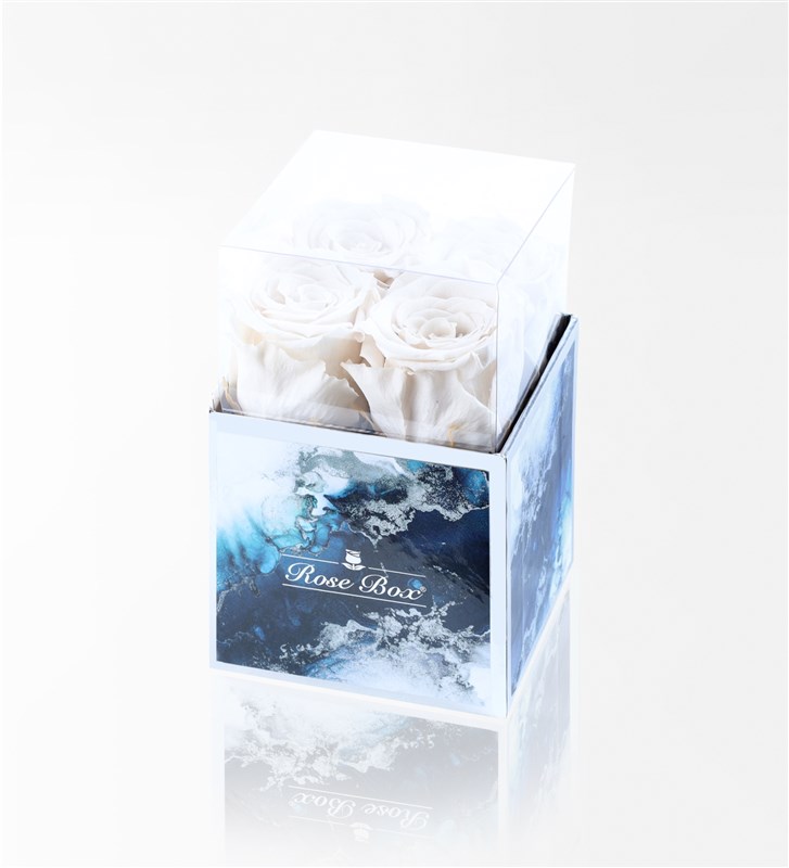 Aquamarine - Set of 4 White Everlasting Roses