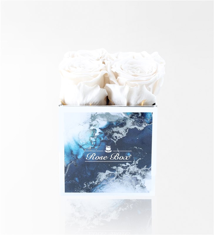 Aquamarine - Set of 4 White Everlasting Roses