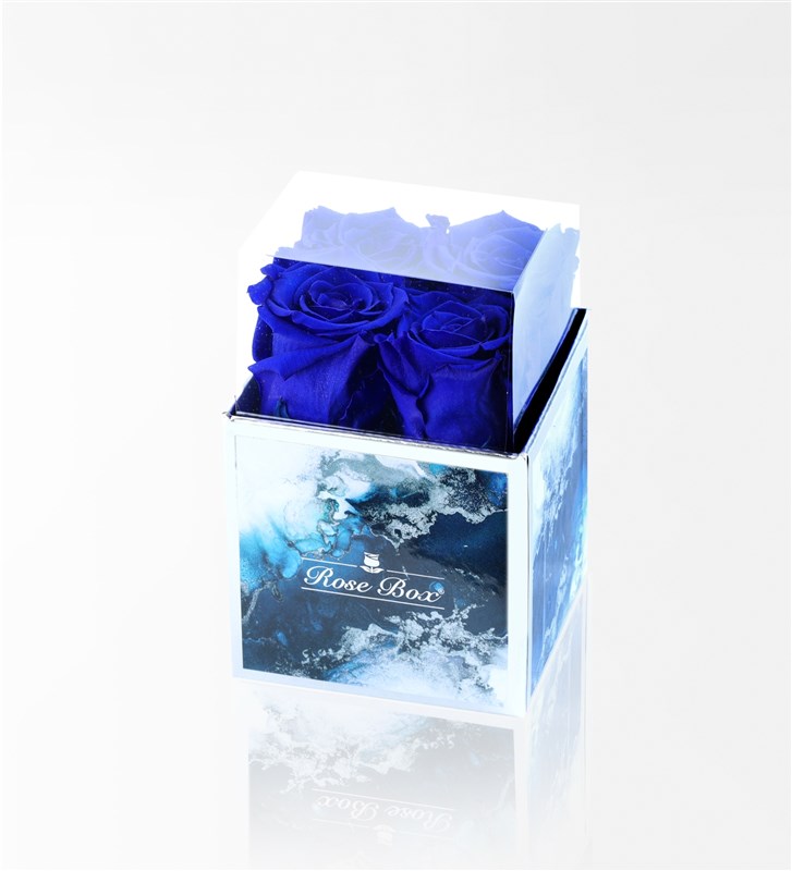 Aquamarine - Set of 4 Blue Everlasting Roses