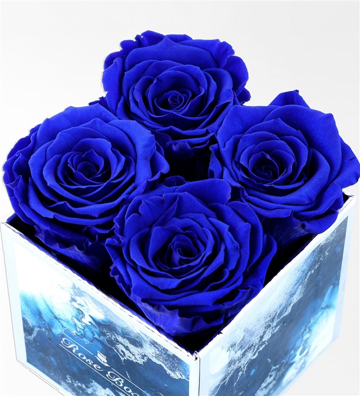 Aquamarine - Set of 4 Blue Everlasting Roses