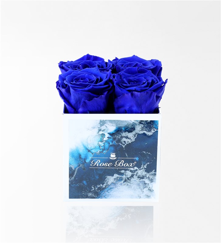 Aquamarine - Set of 4 Blue Everlasting Roses