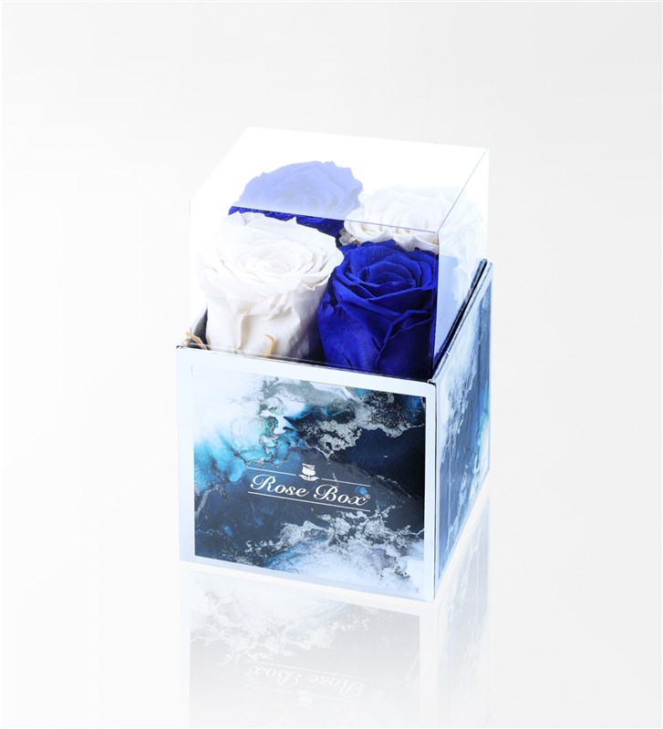 Aquamarine - Set of 4 Blue and White Everlasting Roses