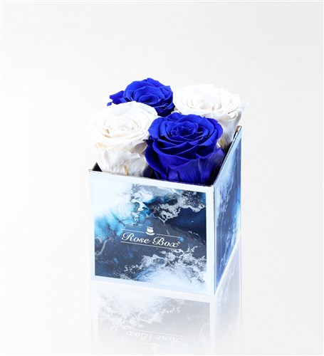Aquamarine - Set of 4 Blue and White Everlasting Roses