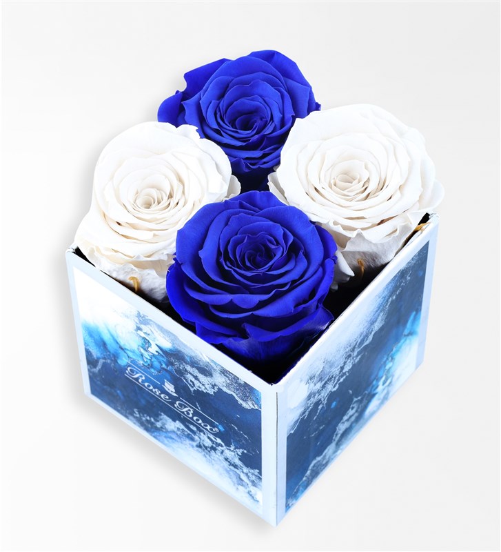 Aquamarine - Set of 4 Blue and White Everlasting Roses