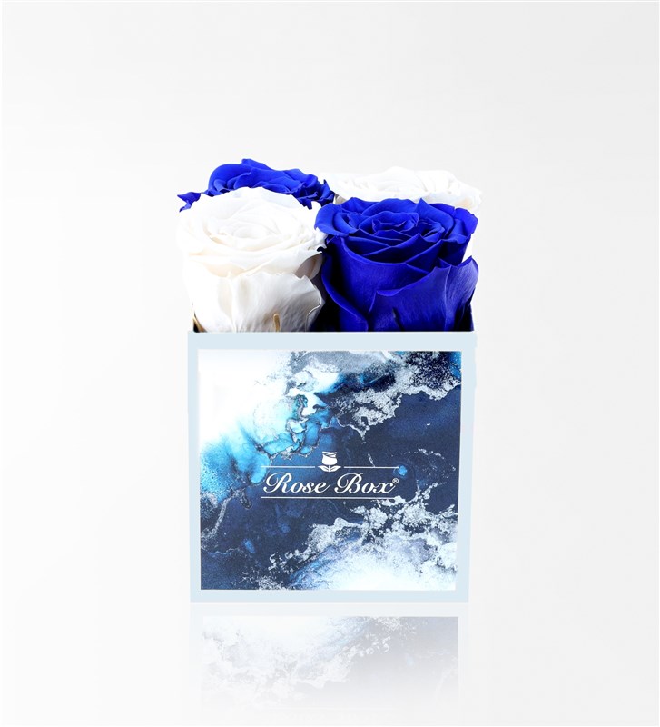 Aquamarine - Set of 4 Blue and White Everlasting Roses