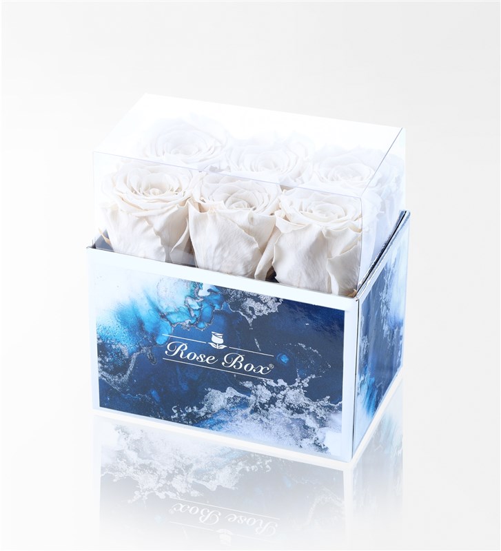 Aquamarine - Set of 6 White Everlasting Roses