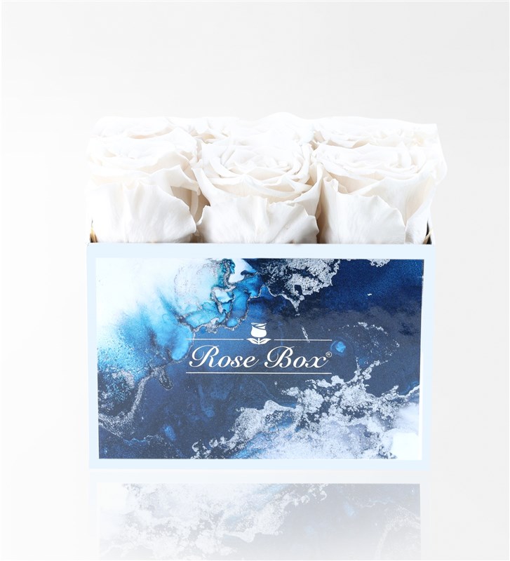 Aquamarine - Set of 6 White Everlasting Roses