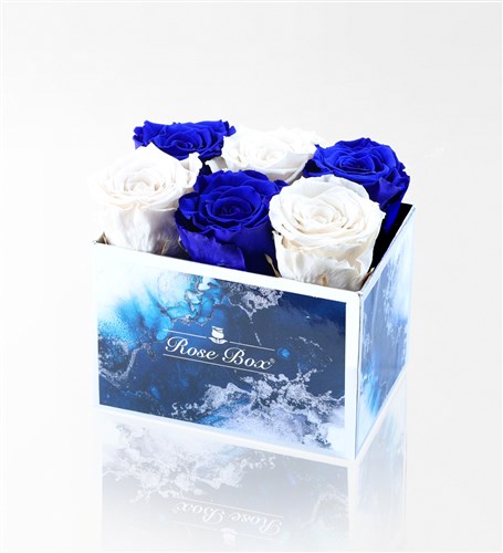 Aquamarine - Set of 6 Blue and White Everlasting Roses