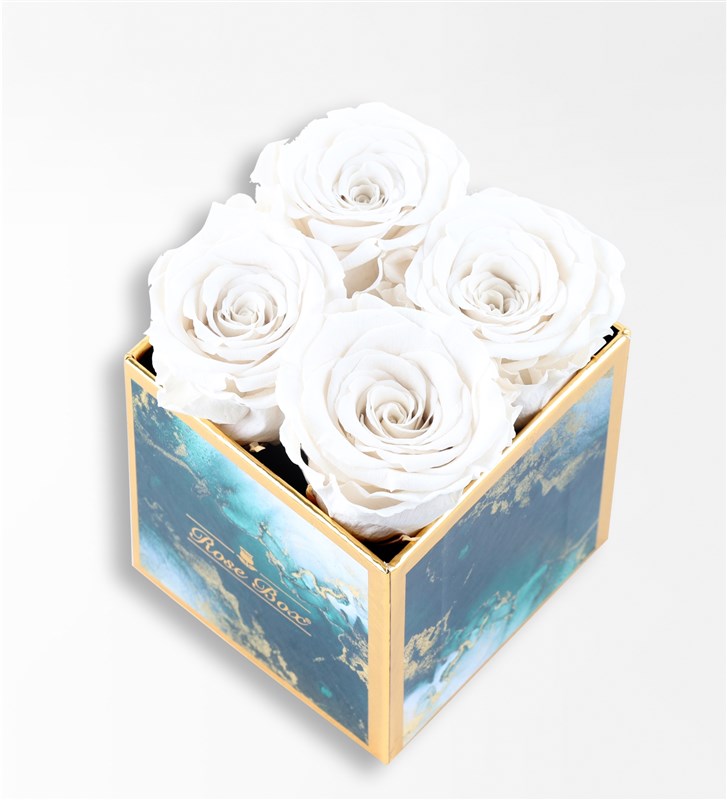 Emerald - Set of 4 White Everlasting Roses