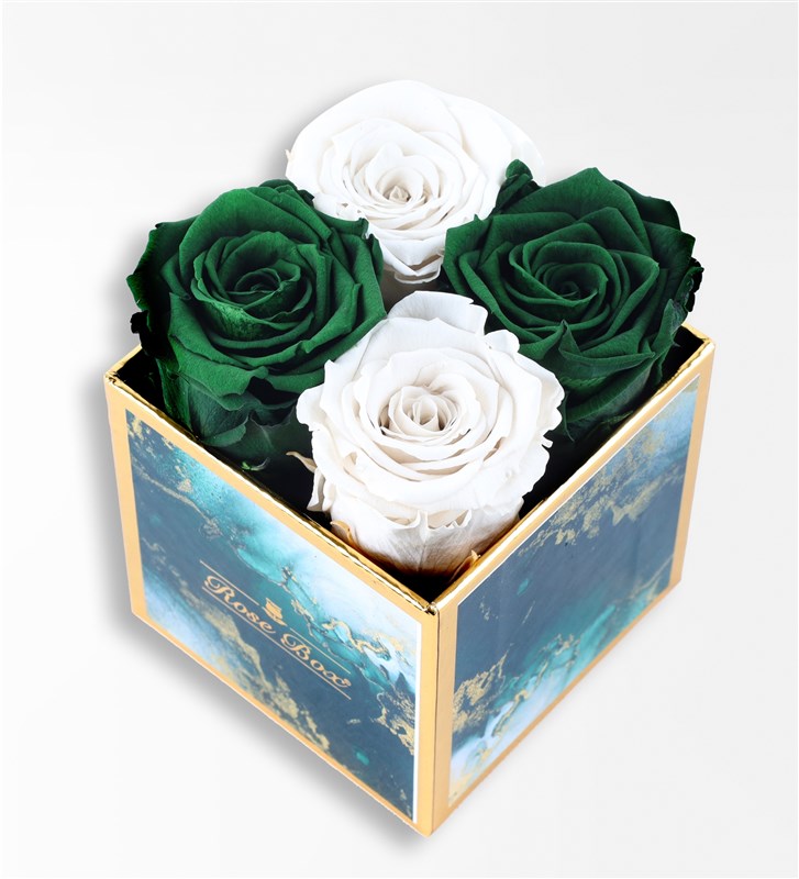 Emerald - Set of 4 Green and White Everlasting Roses