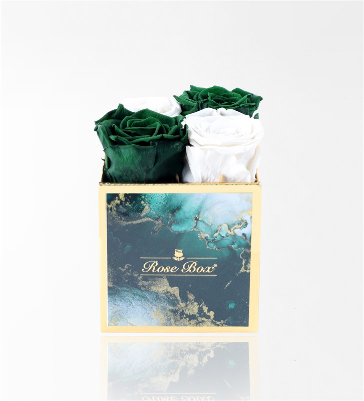 Emerald - Set of 4 Green and White Everlasting Roses