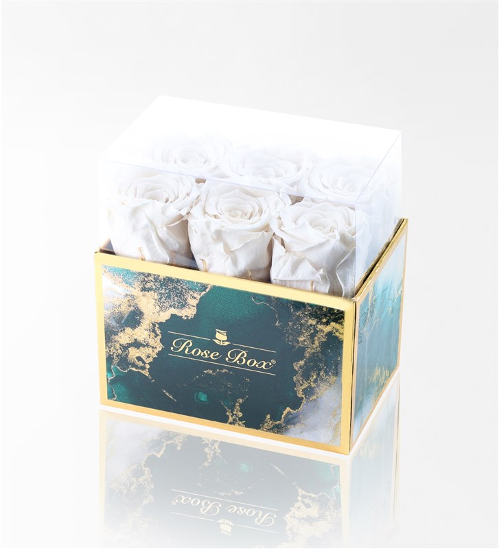 Emerald - Set of 6 White Everlasting Roses