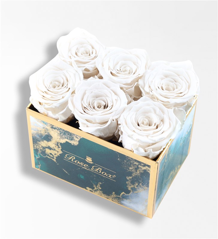 Emerald - Set of 6 White Everlasting Roses