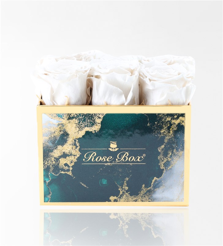 Emerald - Set of 6 White Everlasting Roses