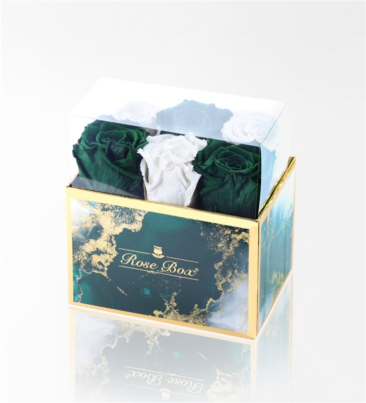 Emerald - Set of 6 Green and White Everlasting Roses