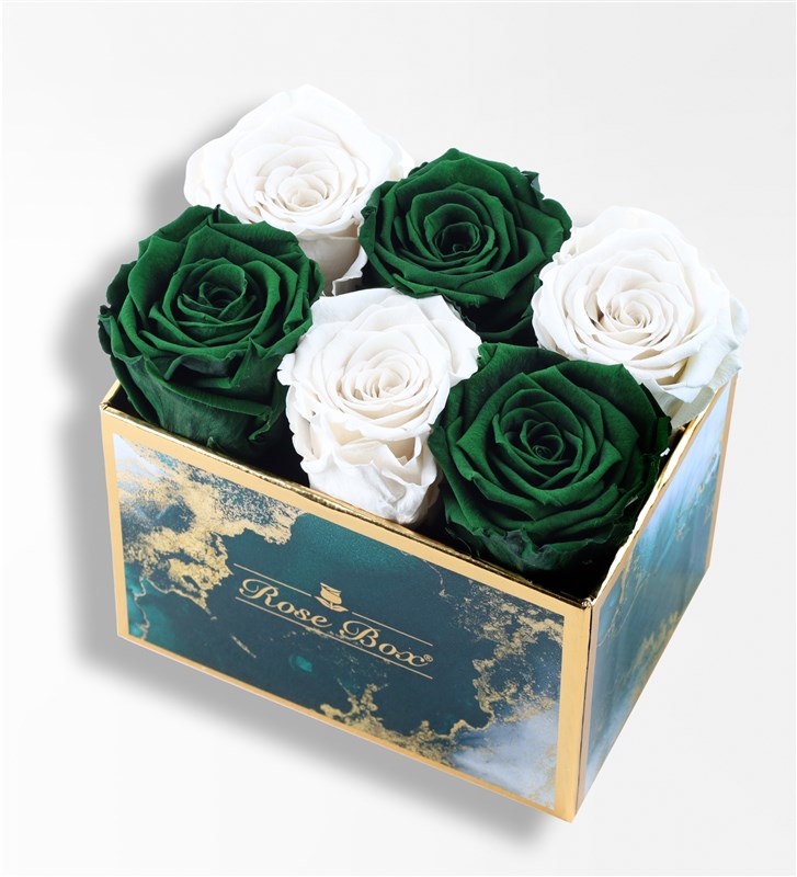 Emerald - Set of 6 Green and White Everlasting Roses