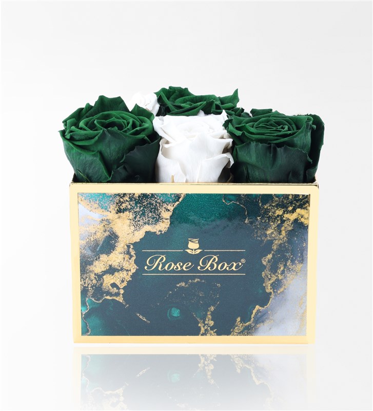 Emerald - Set of 6 Green and White Everlasting Roses