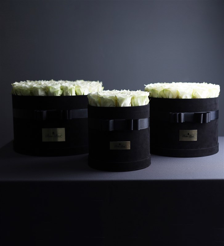 Legend White Petit - White Roses in a Small Velvet Box