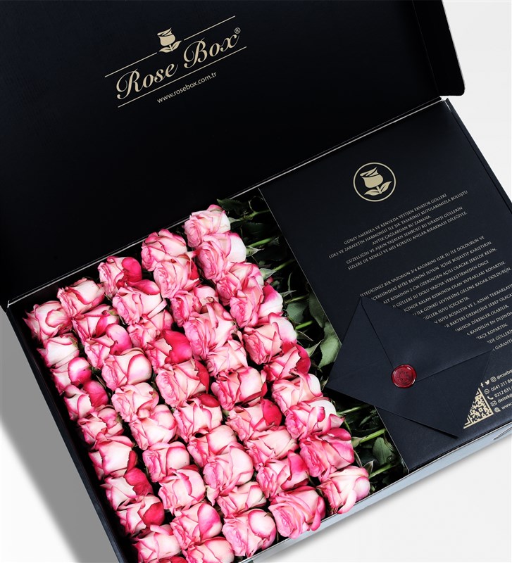 Royal - 50 Paloma Pink Roses in a Black Box