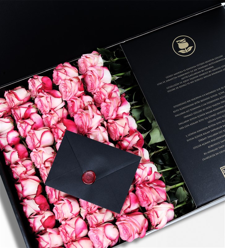 Royal - 50 Paloma Pink Roses in a Black Box