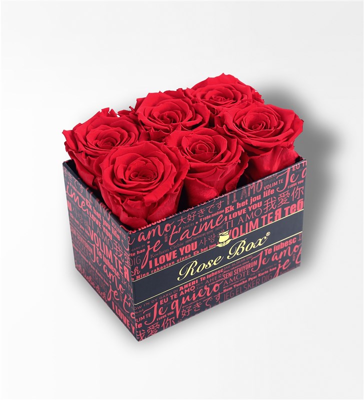 I Love You - 6 Everlasting Red Roses in a Box