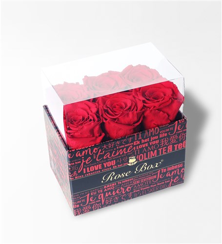 I Love You - 6 Everlasting Red Roses in a Box
