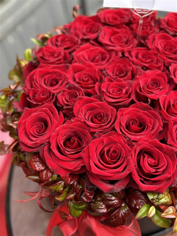 Box of Roses Ekvator