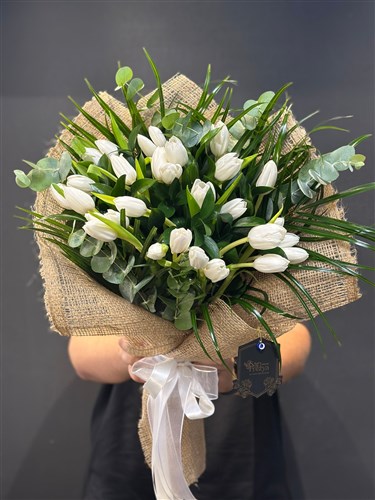 White Tulips Beyaz Lale