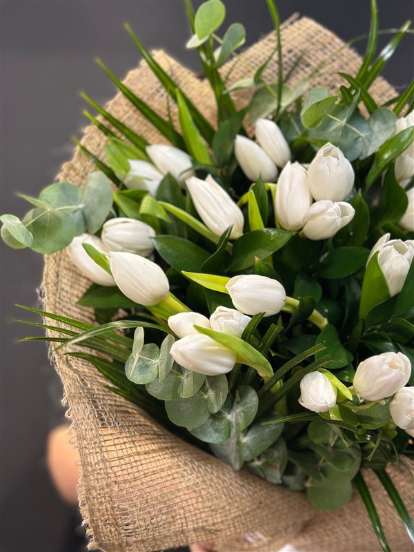 White Tulips Beyaz Lale