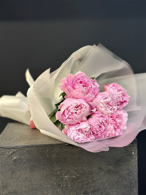 Peonies (Şakayık)