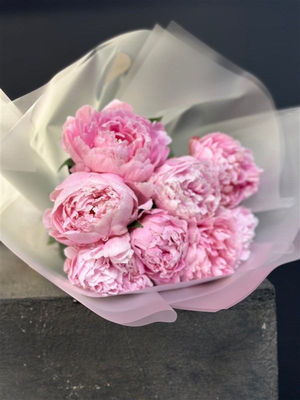 Peonies (Şakayık)