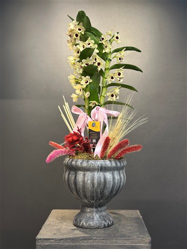 Fuchsia Orchid | Sarı Frezya - İstanbul Online Lüks Çiçek Siparişi