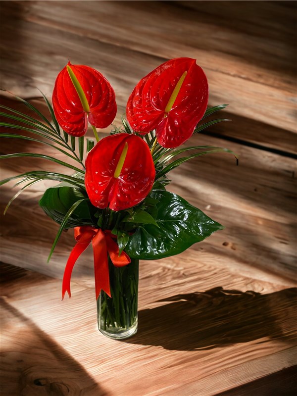 Kırmızı Antoryum Aranjmanı