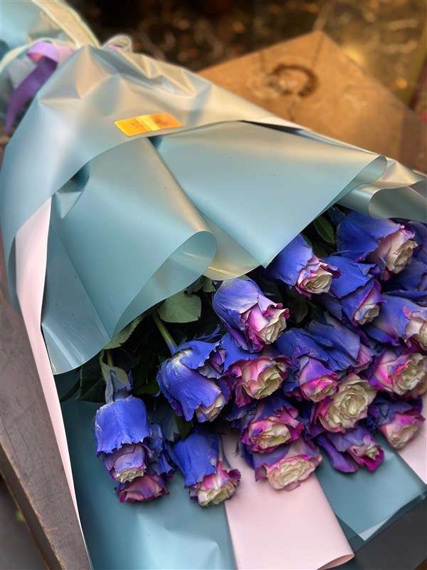 Özel Renk Ekvator Gül