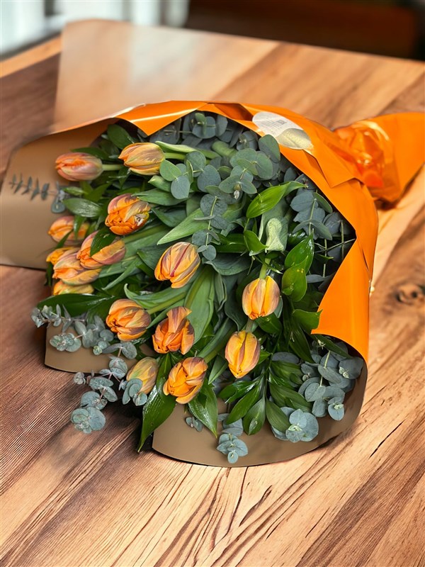 Katmerli Turuncu Hollanda Lalesi No.15