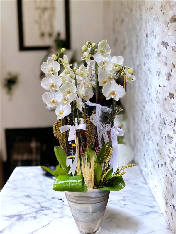 4 Dal Beyaz Hollanda Orkidesi Özel Cam Vazoda