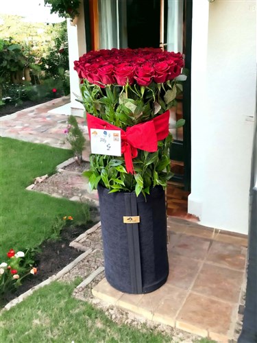 Roses | Sarı Frezya - İstanbul Online Lüks Çiçek Siparişi