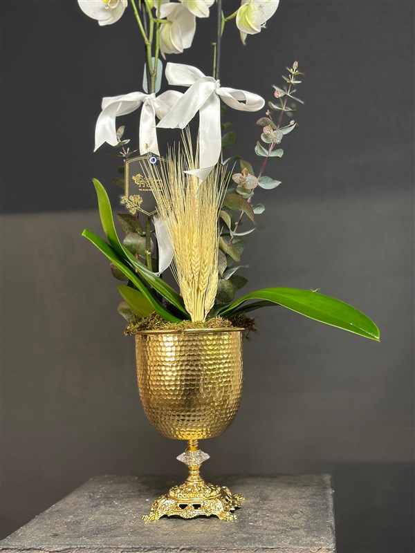 Retro Kadehte Beyaz Orkide