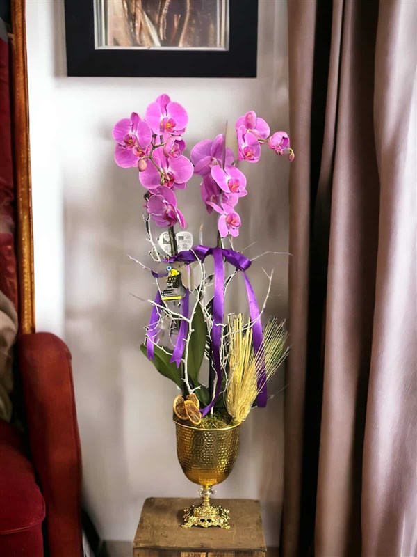 Retro Kadehte Pembe Orkide