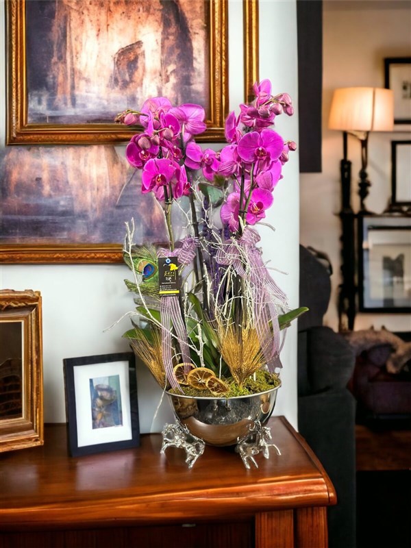 Pegasus Silver Vazoda 4 dal Mor Orkide