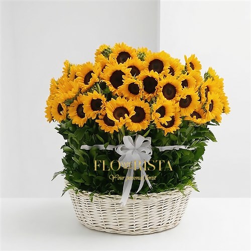 101 Sunflower Basket