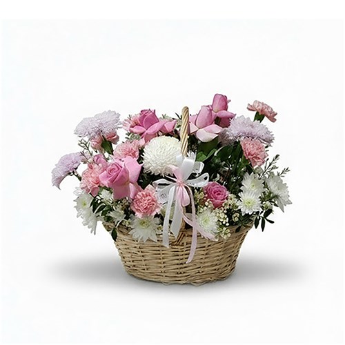 Baby Girl Box