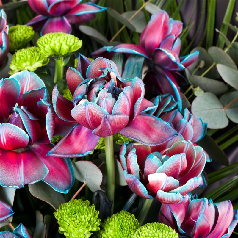 Premium Galaksi Lale Buketi Krem