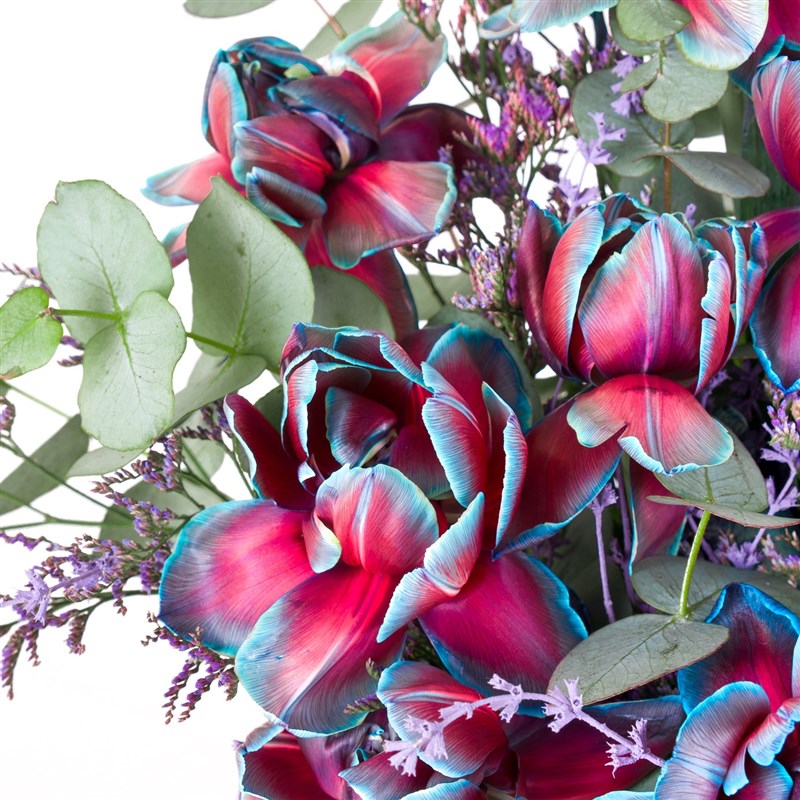 Damla Vazoda Galaksi Lale Aranjmanı