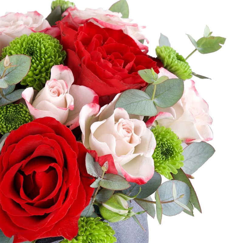 Reflex Galata Kırmızı