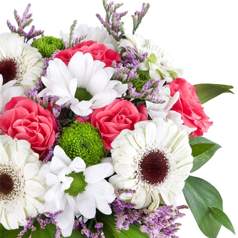 Country Galata Pembe