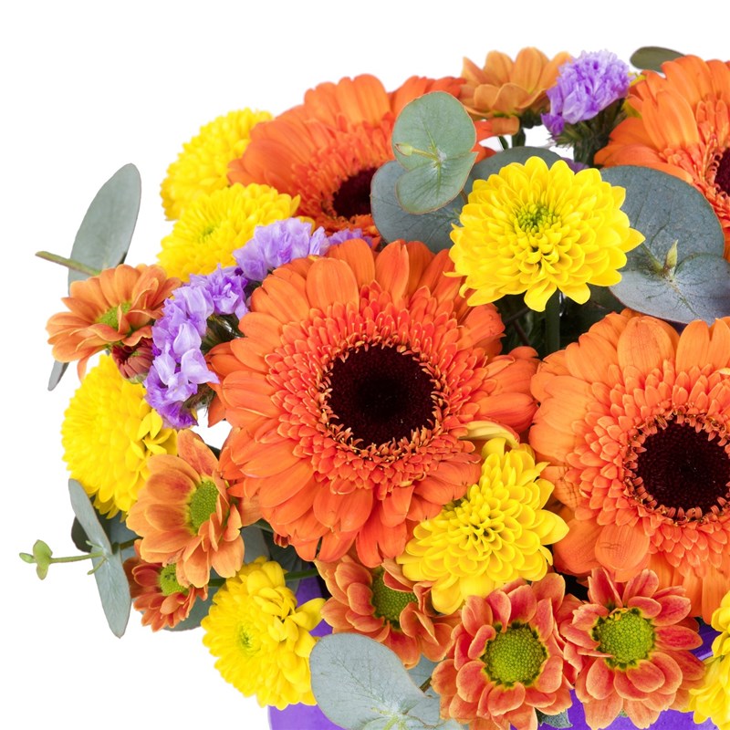 Aurinko Galata Turuncu